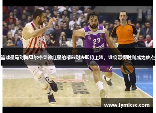 篮球皇马对阵贝尔格莱德红星的精彩对决即将上演，谁将赢得胜利成为焦点